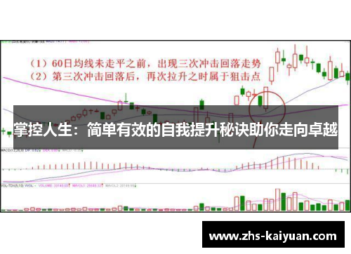 掌控人生：简单有效的自我提升秘诀助你走向卓越