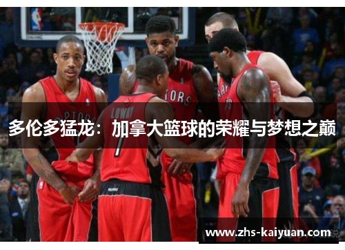 多伦多猛龙：加拿大篮球的荣耀与梦想之巅